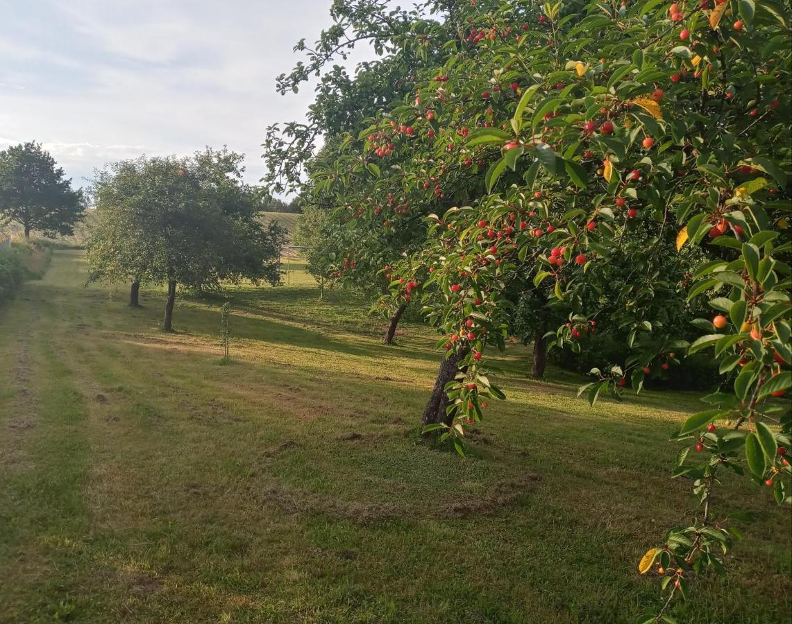 Agroturystyka Pod Debem Jonkowo Εξωτερικό φωτογραφία