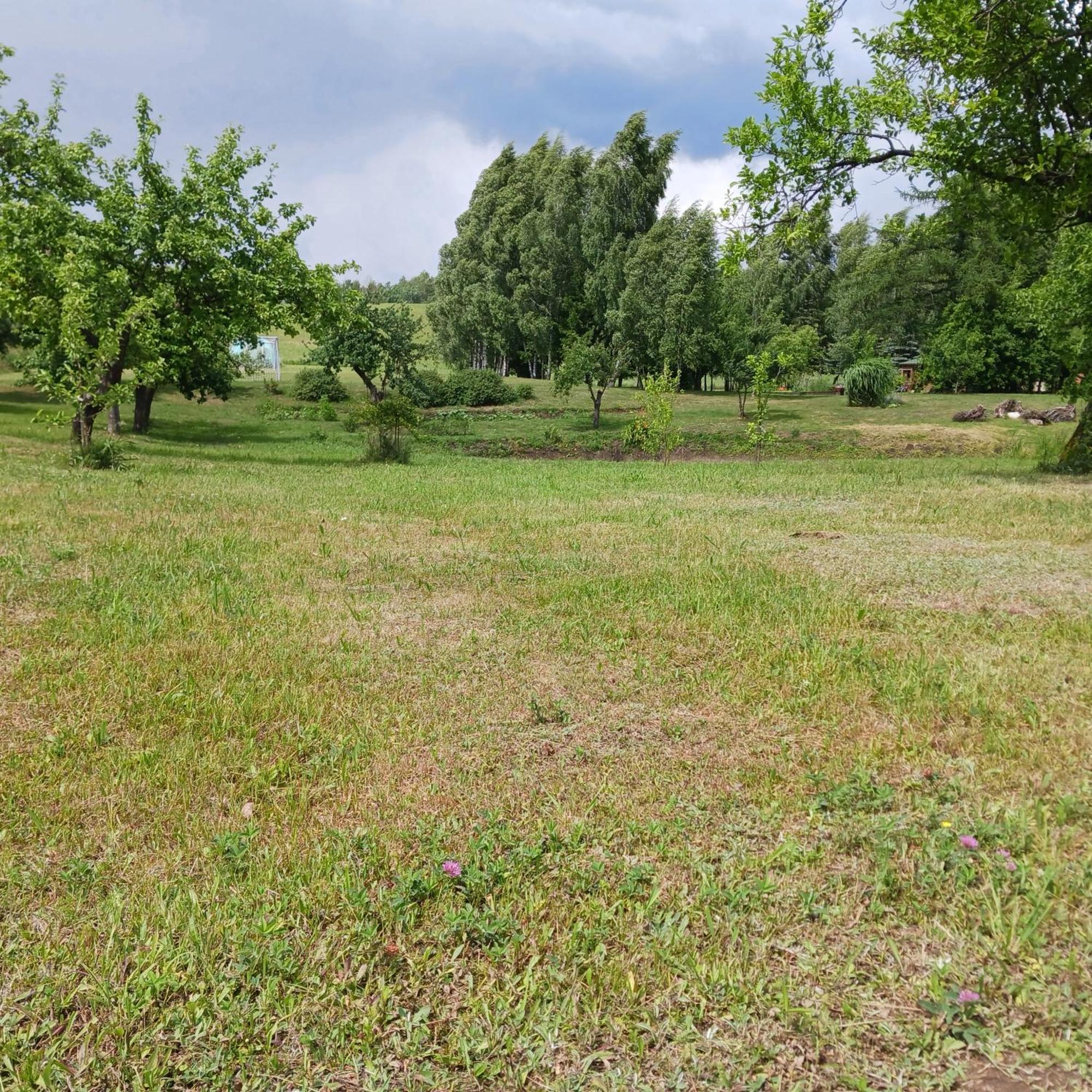 Agroturystyka Pod Debem Jonkowo Εξωτερικό φωτογραφία